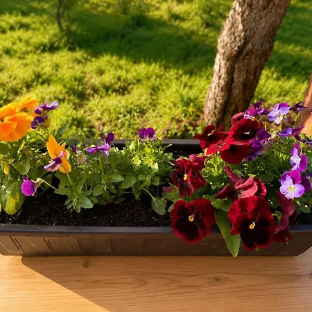 View Glamping Pod Radyní Bez Tekoucí Vody S Omezenou Elektřinou * Spálené Poříčí