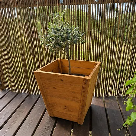 Hébergement de vacances View Pod Radyni Bez Tekouci Vody