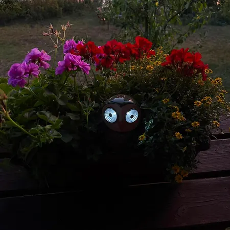 Сasa de vacaciones View Glamping Pod Radyní Bez Tekoucí Vody S Omezenou Elektřinou *